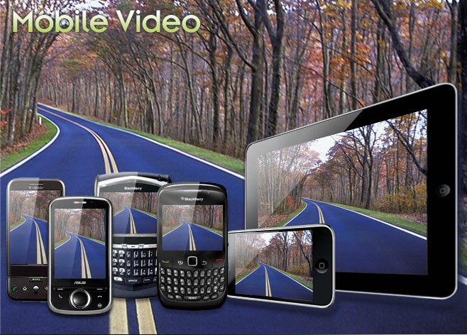 Video Management